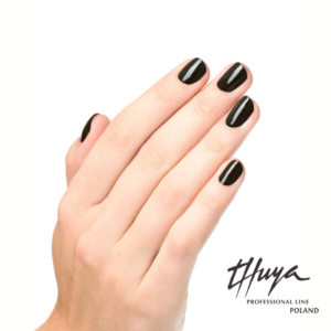 Anthracite lakier hybrydowy Thuya